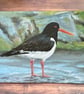 Oystercatcher Original Painting