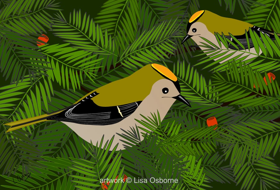 Goldcrests - bird art print