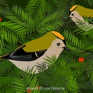 Goldcrests - bird art print