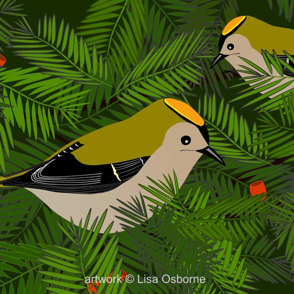 Goldcrests - bird art print