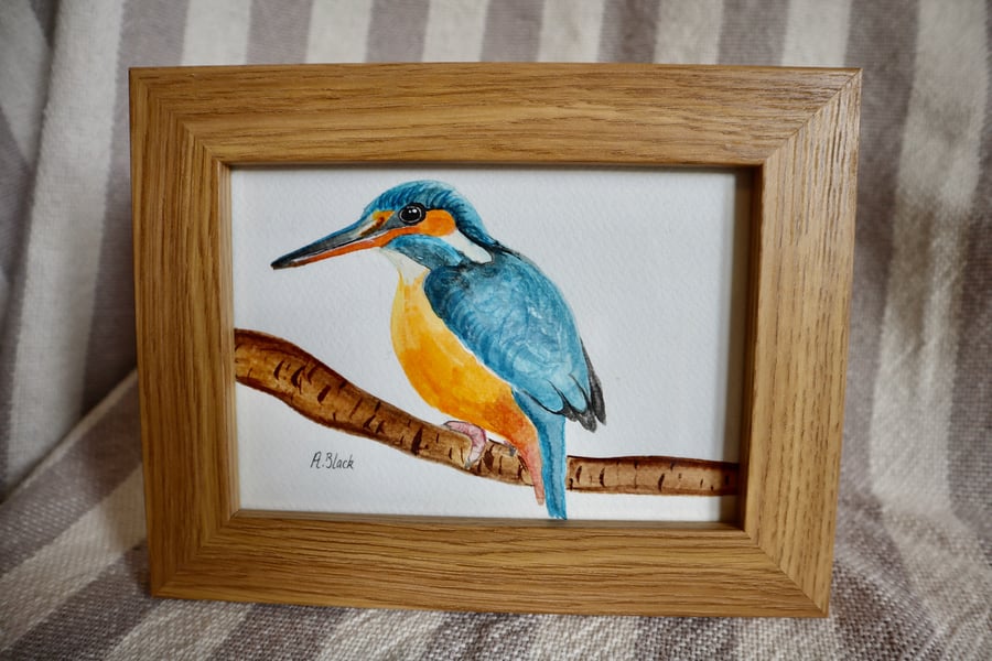 Kingfisher painting - Framed