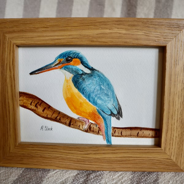 Kingfisher painting - Framed