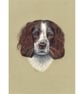 Springer Spaniel Dog Fine Art Print - Image 3