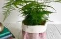 Storage Baskets