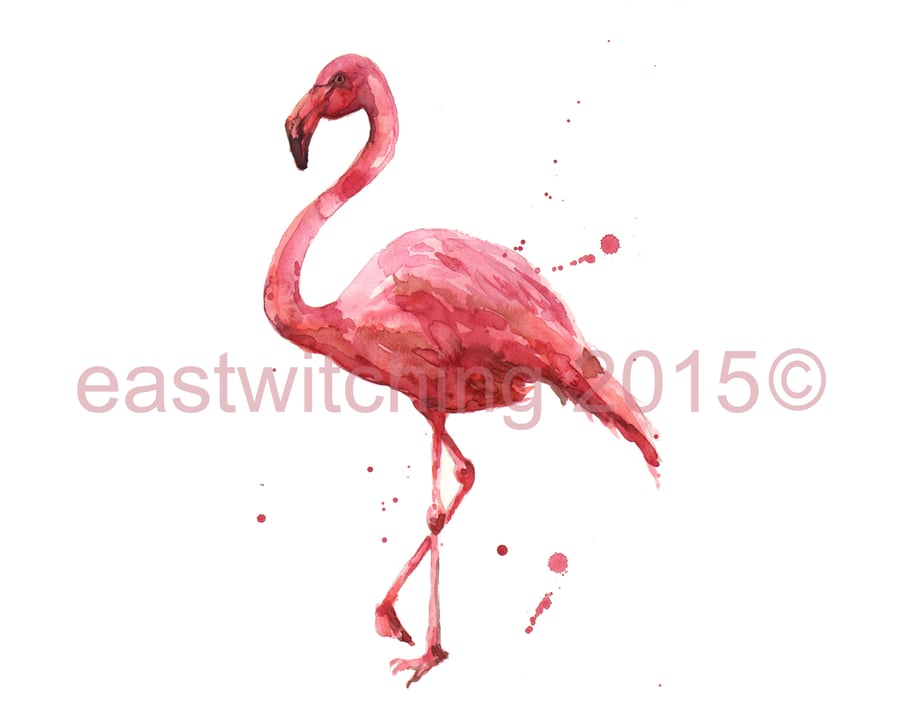 FLAMINGO Art Print