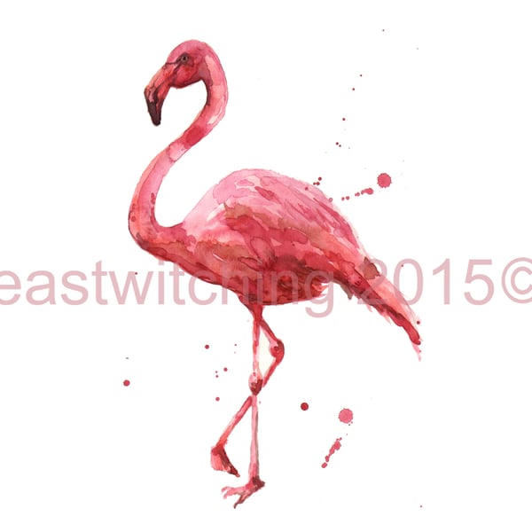 FLAMINGO Art Print