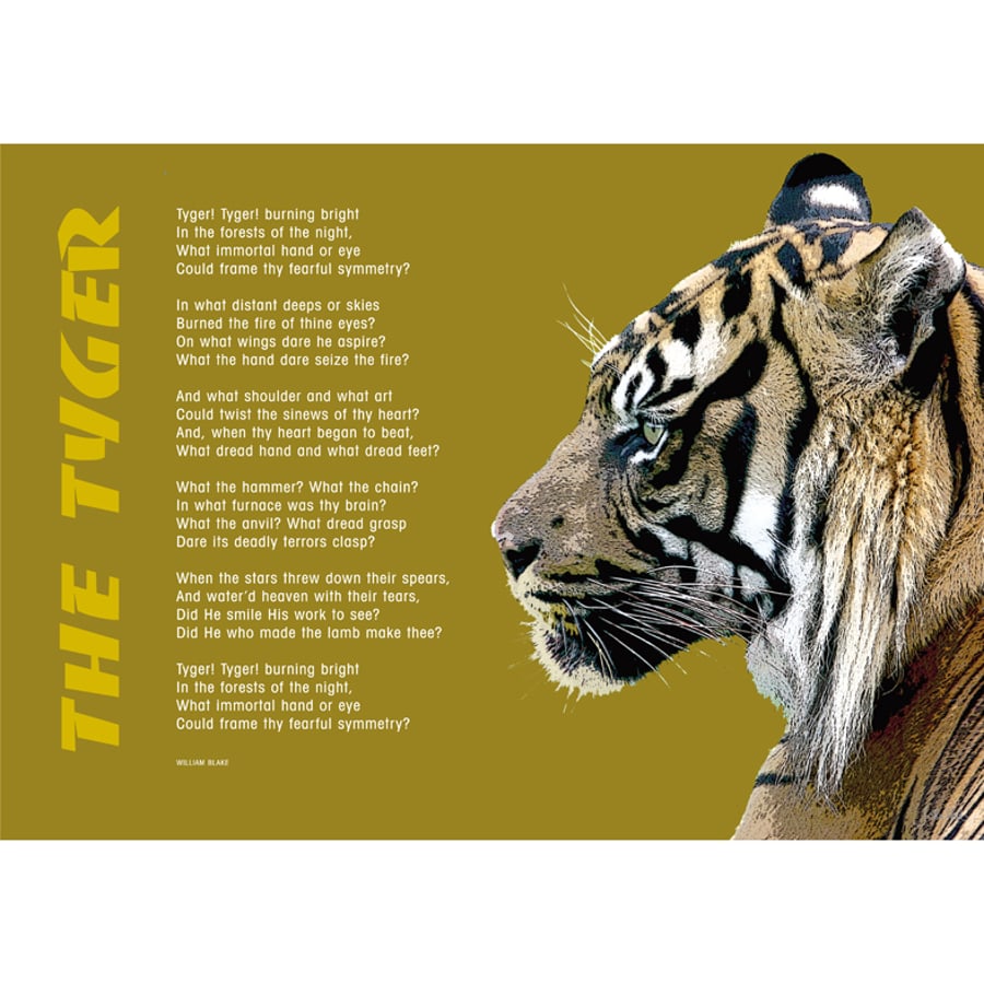 THE TYGER - 3