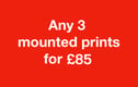 SPECIAL OFFERS 