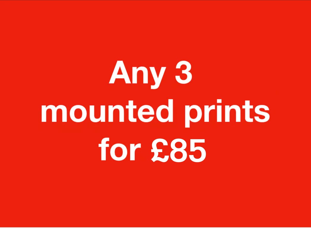ANY 3 mounted prints for eighty five pounds FREE DELIVERY