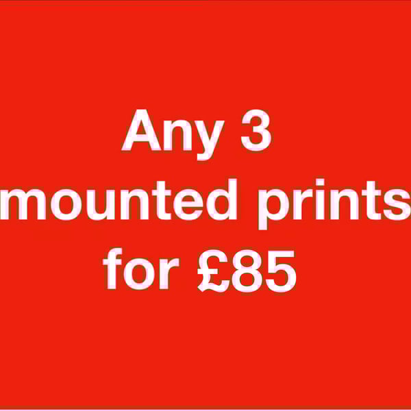 ANY 3 mounted prints for eighty five pounds FREE DELIVERY
