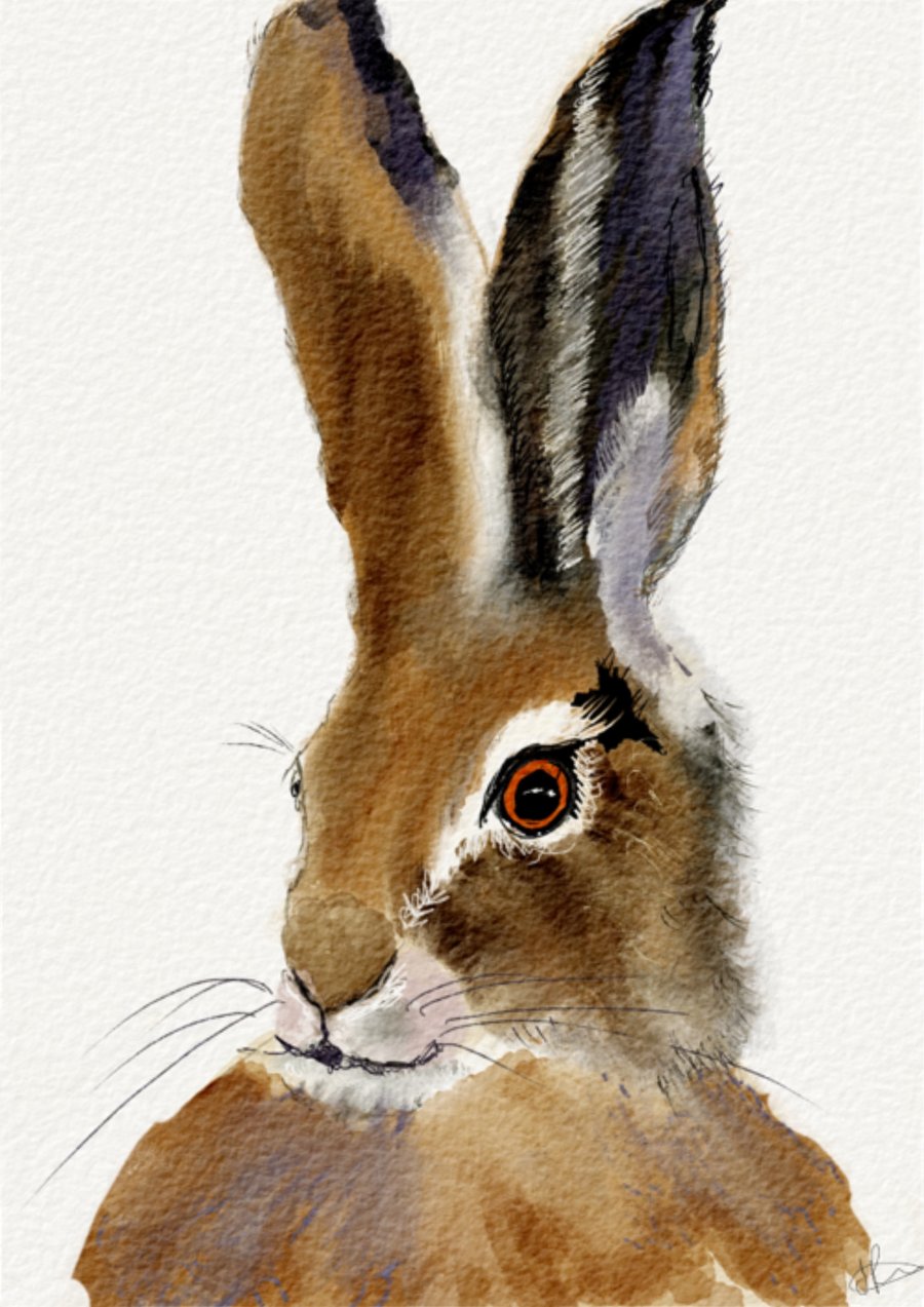 Watercolour Hare Print - Limited Edition Giclee Print