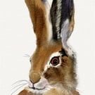 Watercolour Hare Print - Limited Edition Giclee Print