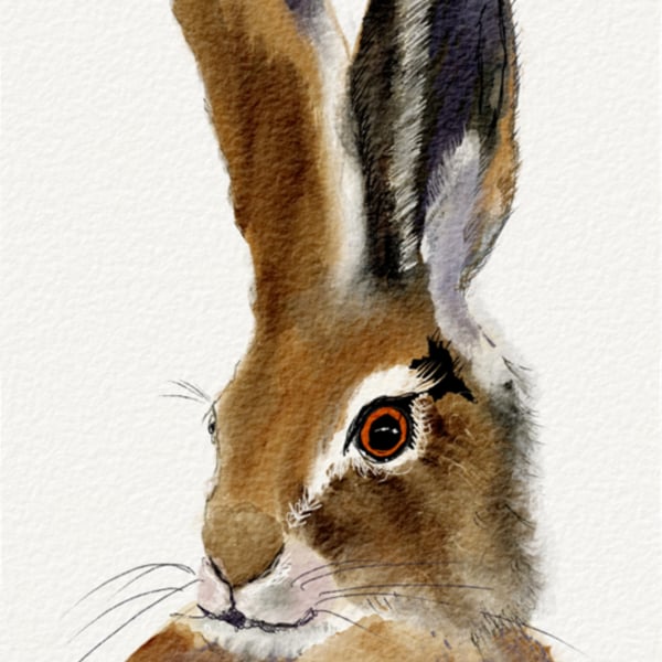 Watercolour Hare Print - Limited Edition Giclee Print