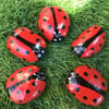 Hand Painted Pebbles Stones Red Ladybirds Garden Decoration Set of 5