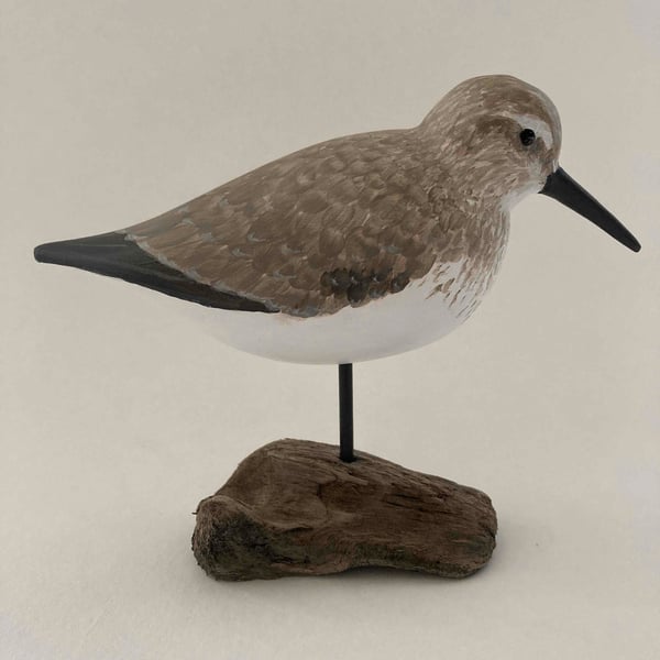 Dunlin