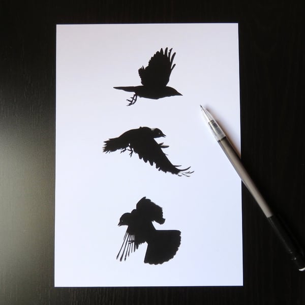 Limited edition crow print, A5, black and white wildlife art