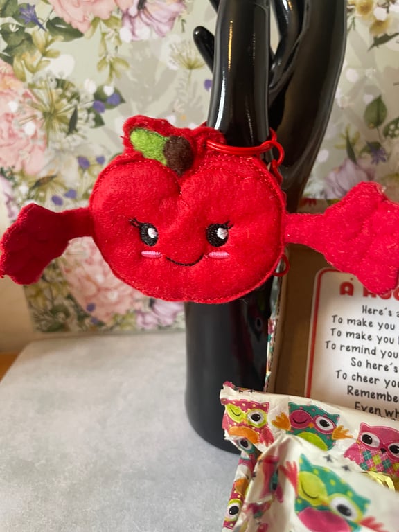 Pocket Hugs – Emotional Support,Gift, keyring, bag tag, Apple, teacher gift 