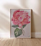 Pink Rose Watercolour Art Print – Limited Edition A4 Floral Wall Art - Image 3