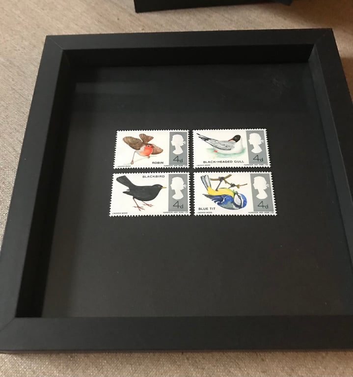 Birds 1966 Framed set mint postage stamps Art