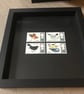 Birds 1966 Framed set mint postage stamps Art - Image 1
