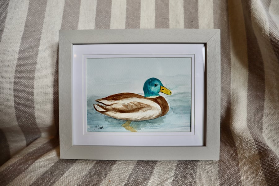 Hand painted Duck- Duck watercolour