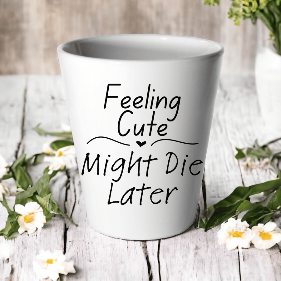 Feeling Cute, Might DIE Later Plant Pot -Succulent Cactus Flower Pot 