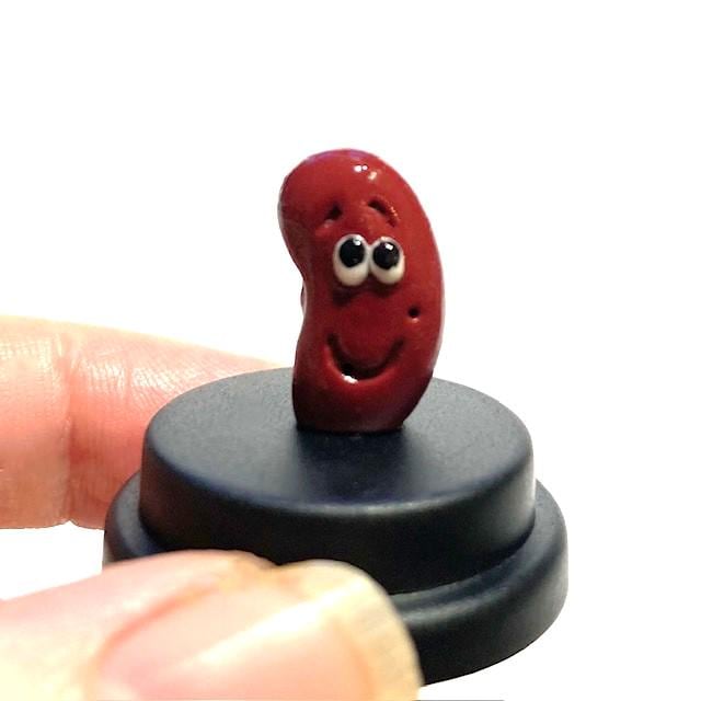 Pet Kidney Bean, Pet Vegetable, Veggie lover pet, Vegetarian gift