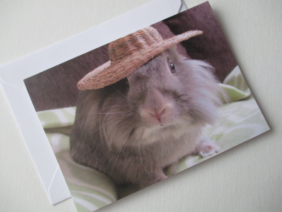 Bunny Rabbit Blank Greetings Card Lionhead Bunny Picture Rabbit Wearing Hat