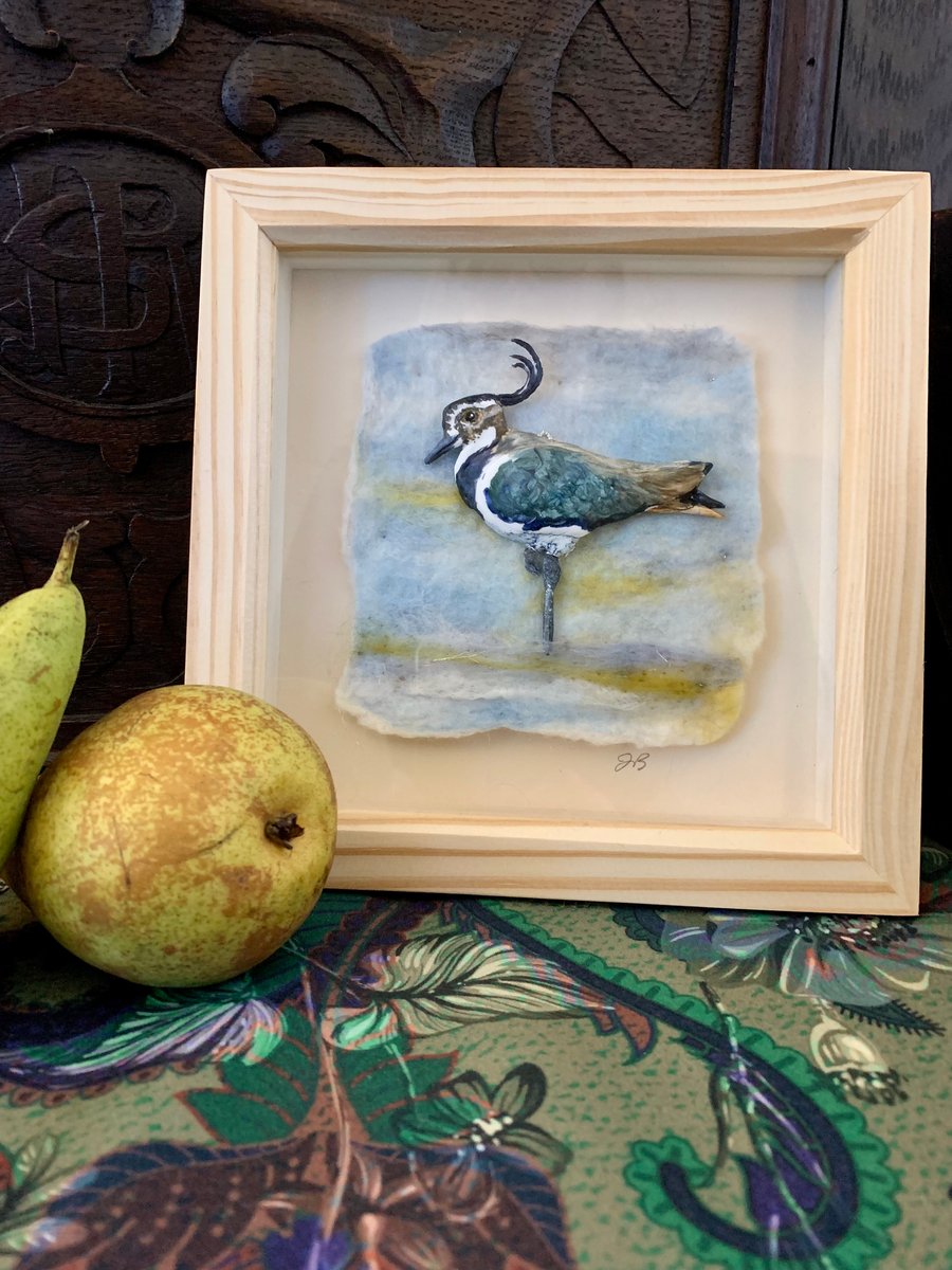 Lapwing on the shore