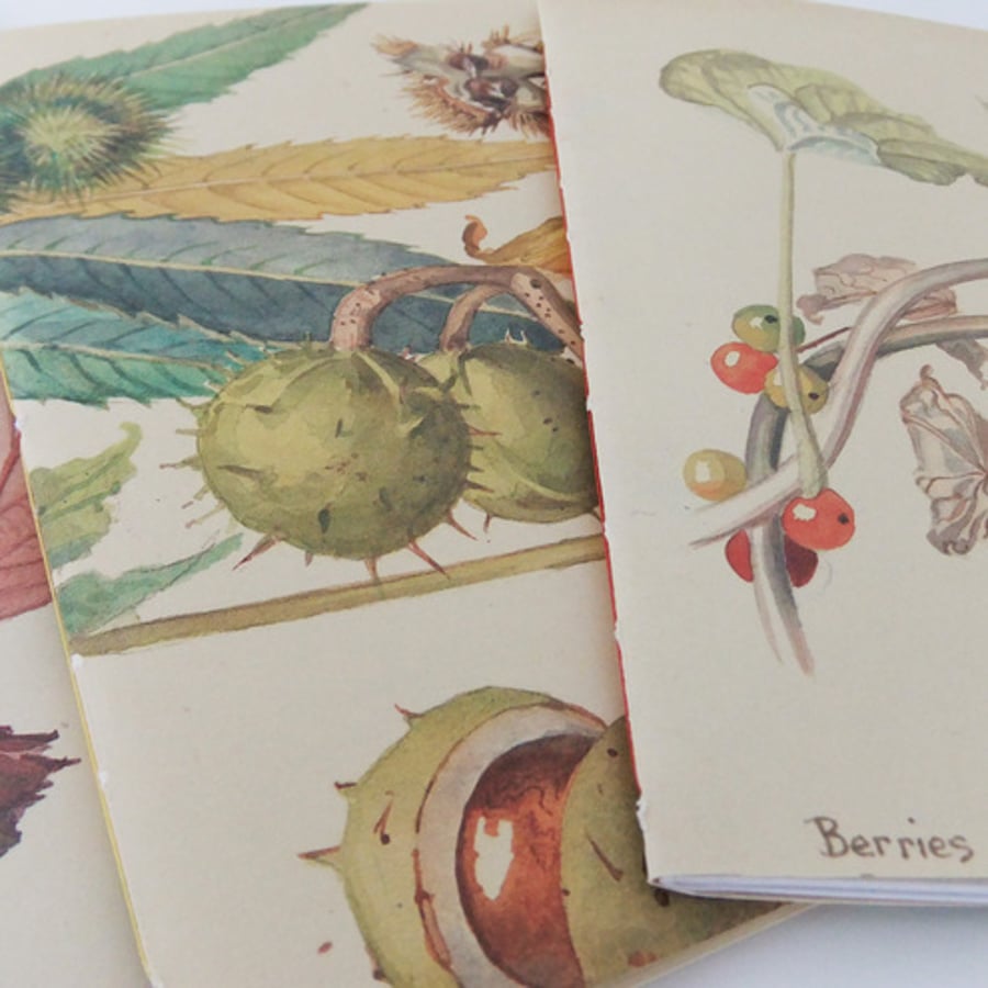 Set of 3 hand-sewn notebooks / journals made from The Country Diary of an Edwardian Lady 