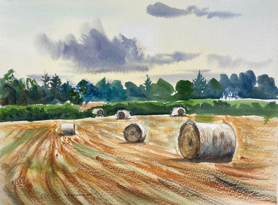 Easby fields late summer evening 2019 (Pure Original Watercolour)