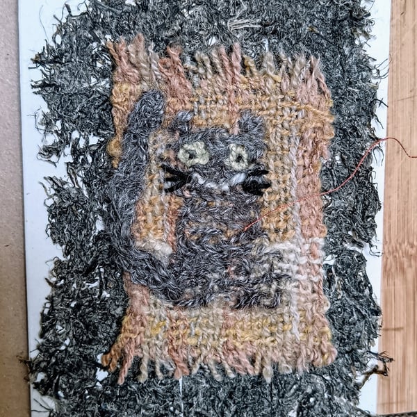Garden cat