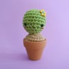 Olga the Crochet Cactus