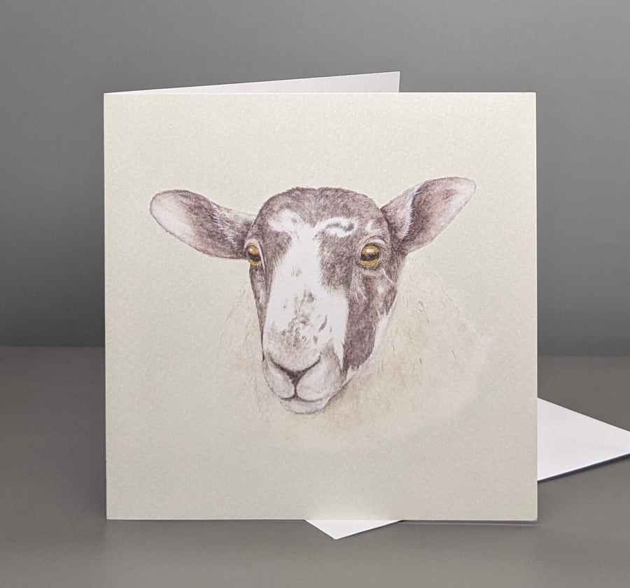 Sheep greetings card.