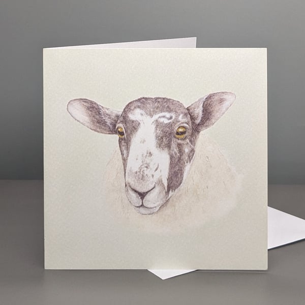 Sheep greetings card.