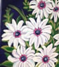 'African Daisy' original painting.   - Image 7