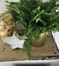 Hanging Shelf Made From Reclaimed Scaffold Boards - Hanging Rope Shelf - Plant S - Image 6