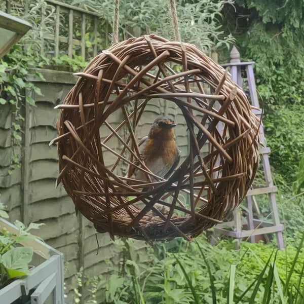Willow bird feeder for a window or tree, bird food and postage included.