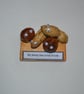 "Family Nuts" Nutty Gift - Image 2
