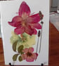 Delicate Handmade Pressed Flower picture. Unframed A6 size 8x3inx 5.8in