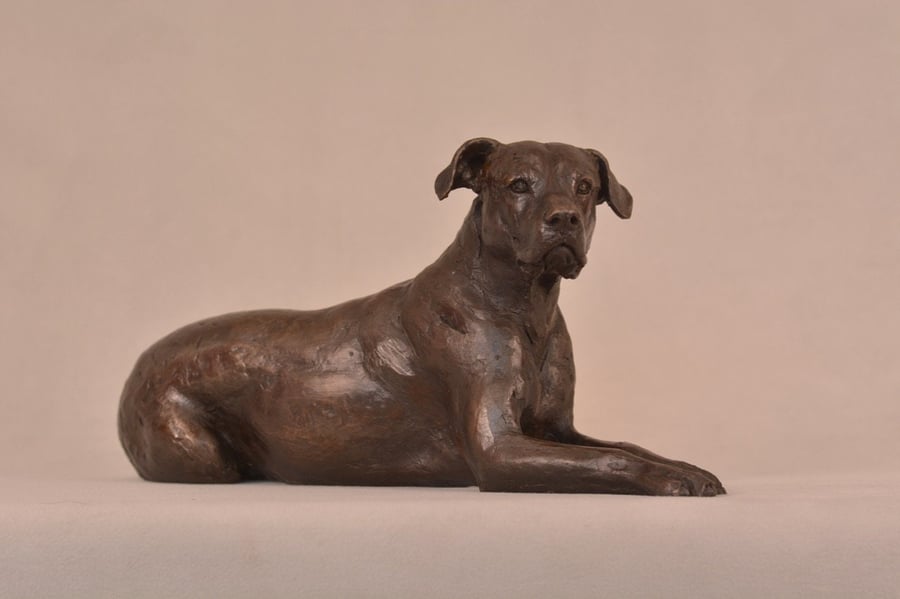 Lying Mixed Breed Rescue Dog Statue Small Bronze Resin Crossbreed Sculpture