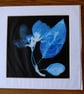 Blossom Print from Original Photogram - White mount to fit 12 inch square frame