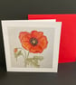 Poppy - Image 1