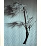 Fine Art Photograph Pine Branch - A4 - Choice of Four Colours - Image 9