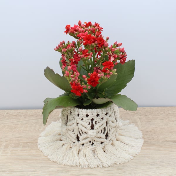 macrame covered jar, plant pot, tealight holder