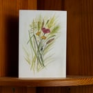 'May Field' greeting card