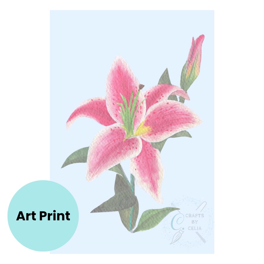 Pink Lily Art Print, available in A4 and A5