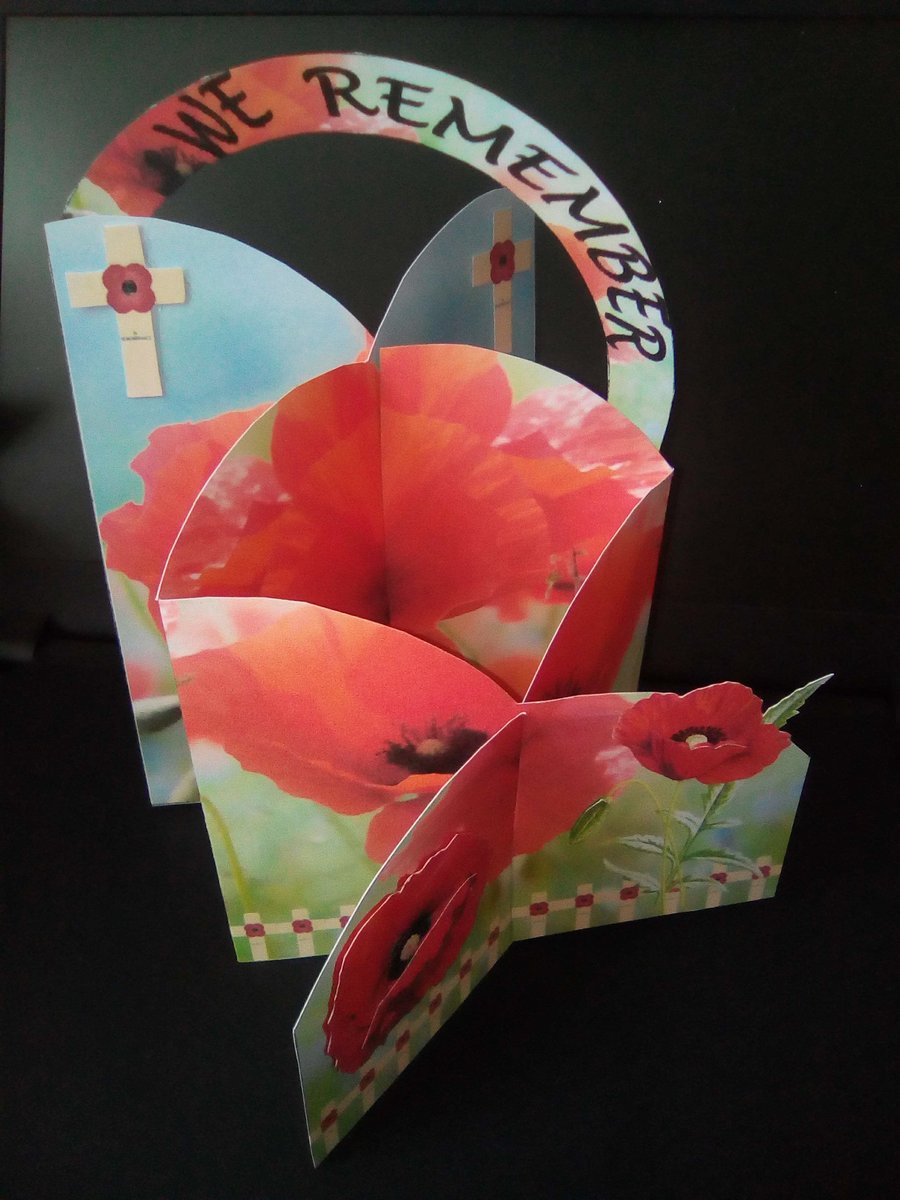 3D Poppy Concertina Card - We Remember, Sympathy