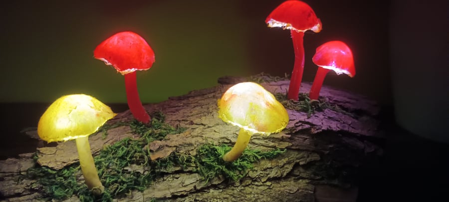 Mushroom Light-Lamp - 4 Strawberry Lemon drop mushroom sculpture