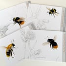 Buzz Postcards:  A set of 4 Favourite Bees